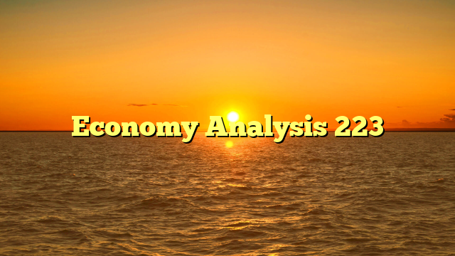 Economy Analysis 223