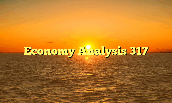 Economy Analysis 317
