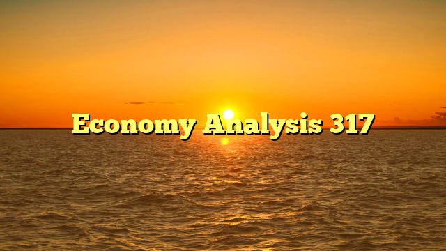 Economy Analysis 317