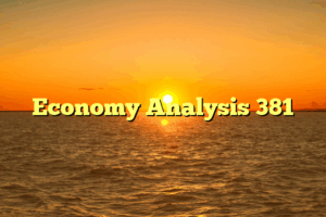 Economy Analysis 381