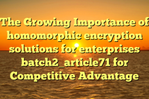 The Growing Importance of homomorphic encryption solutions for enterprises batch2_article71 for Competitive Advantage