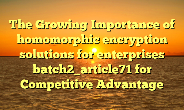 The Growing Importance of homomorphic encryption solutions for enterprises batch2_article71 for Competitive Advantage