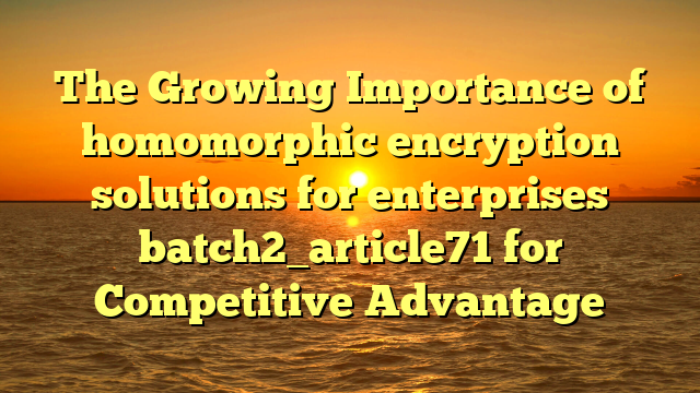 The Growing Importance of homomorphic encryption solutions for enterprises batch2_article71 for Competitive Advantage